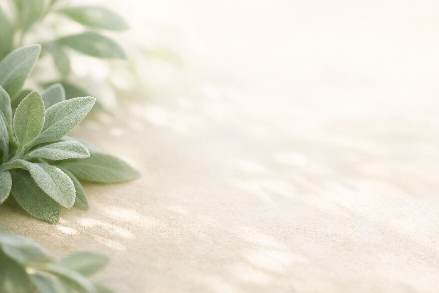 Serene nature background